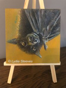 Critter Squares - Lubee CP e-Packet